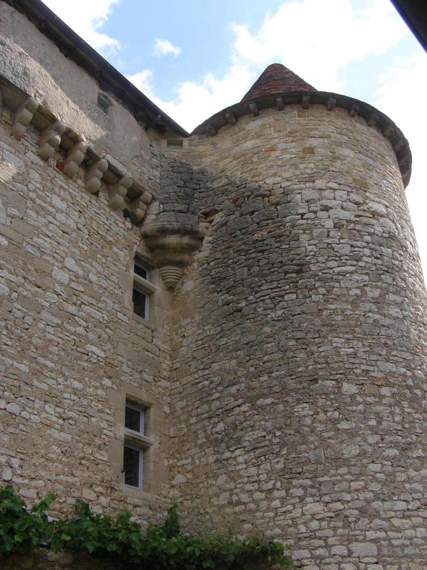 Chateau De Camboulan Ambeyrac Exterior photo