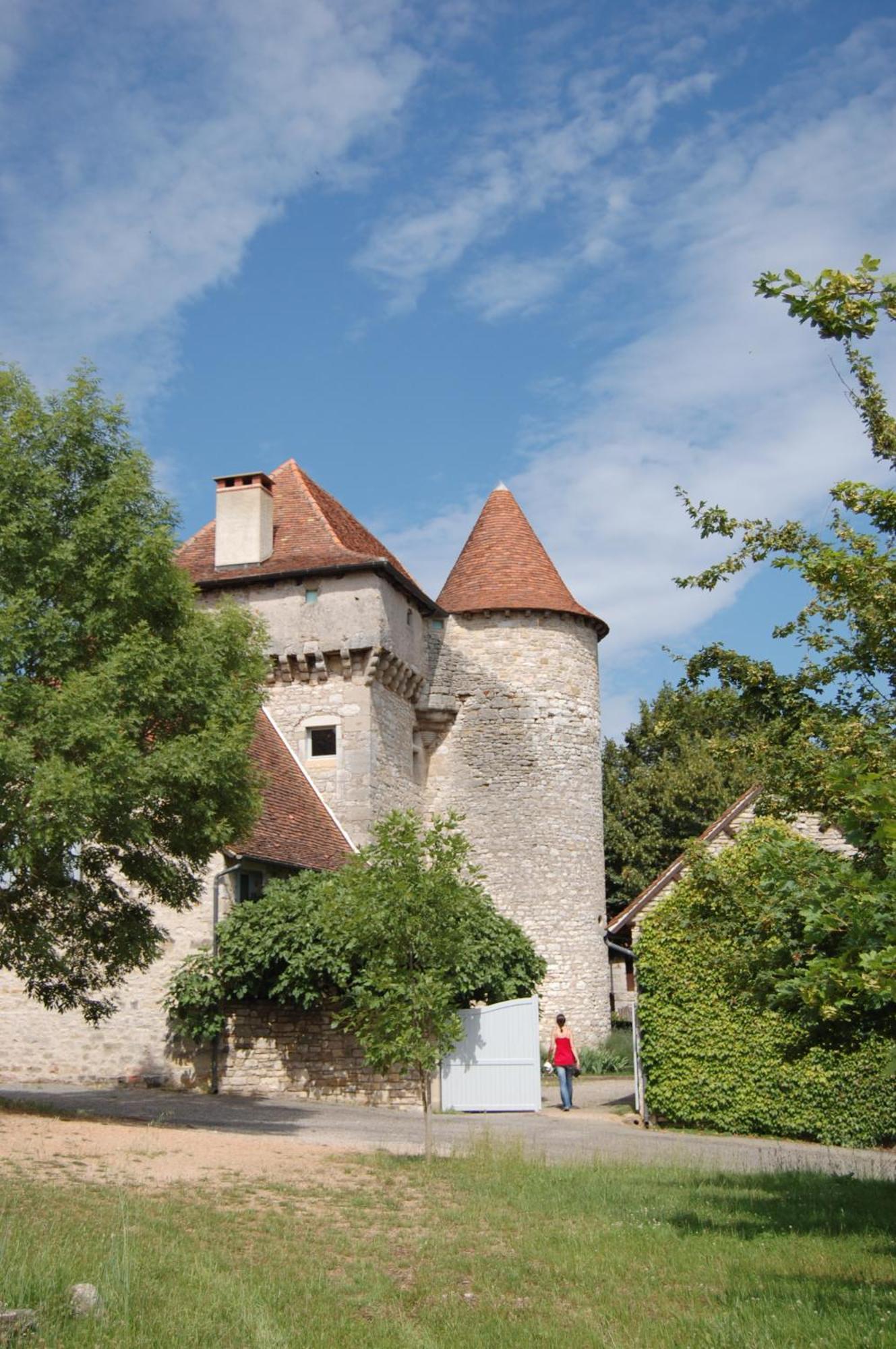 Chateau De Camboulan Ambeyrac Exterior photo